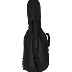 Ibanez AUP10N-OLB