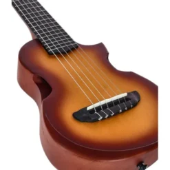 Ibanez AUP10N-OLB