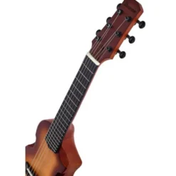 Ibanez AUP10N-OLB