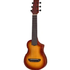 Ibanez AUP10N-OLB