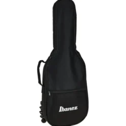 Ibanez AUP10N-OLB
