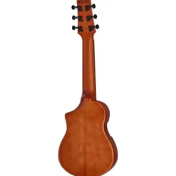 Ibanez AUP10N-OLB