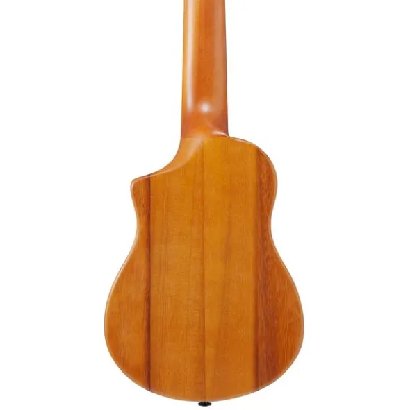Ibanez AUP10N-OPN