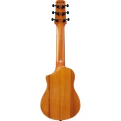 Ibanez AUP10N-OPN