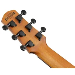 Ibanez AUP10N-OPN