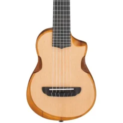 Ibanez AUP10N-OPN