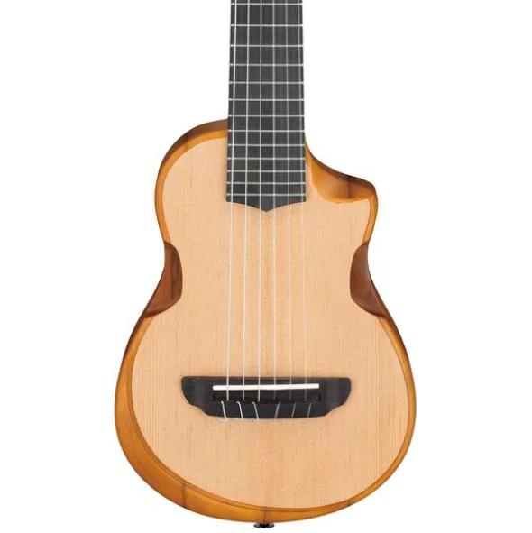 Ibanez AUP10N-OPN