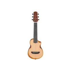 Ibanez AUP10N-OPN B-Stock