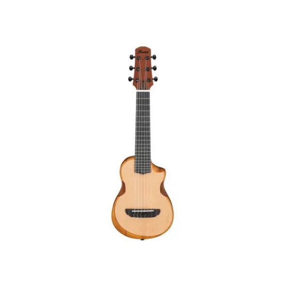 Ibanez AUP10N-OPN B-Stock