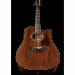 Ibanez AW5412CE-OPN Artwood