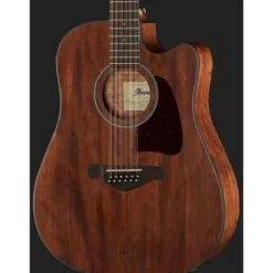 Ibanez AW5412CE-OPN Artwood