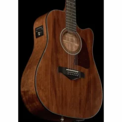 Ibanez AW5412CE-OPN Artwood