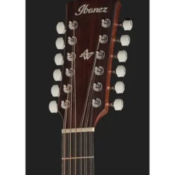 Ibanez AW5412CE-OPN Artwood