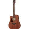Ibanez AW54LCE-OPN