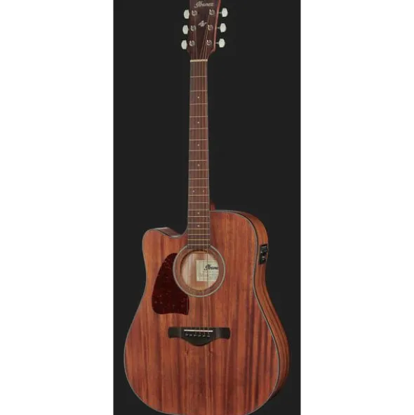 Ibanez AW54LCE-OPN