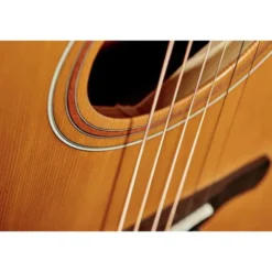 Ibanez AW65-LG