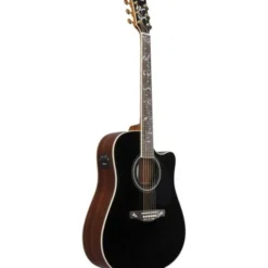 Ibanez AW391RCE-BKH