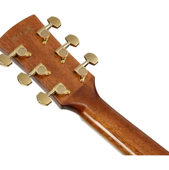 Ibanez AW391RCE-BKH