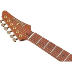 Ibanez AZ2204AG-TGB