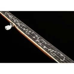Ibanez B200