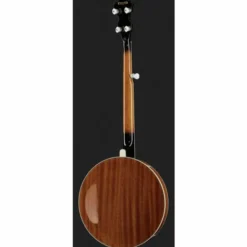 Ibanez B200