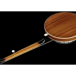 Ibanez B200