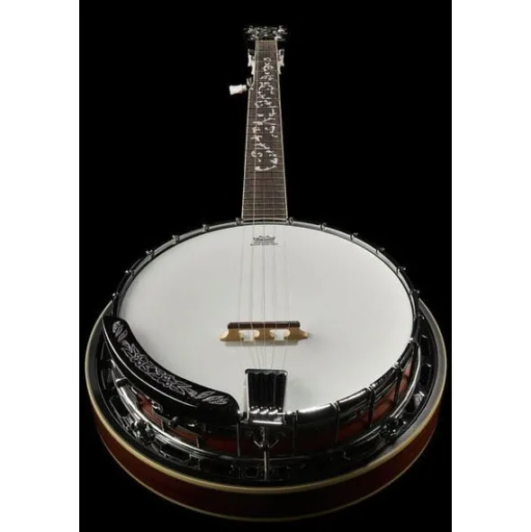 Ibanez B200