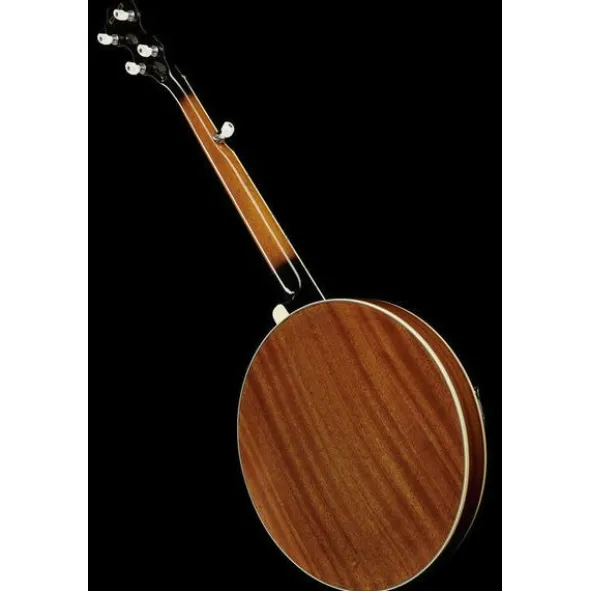 Ibanez B200