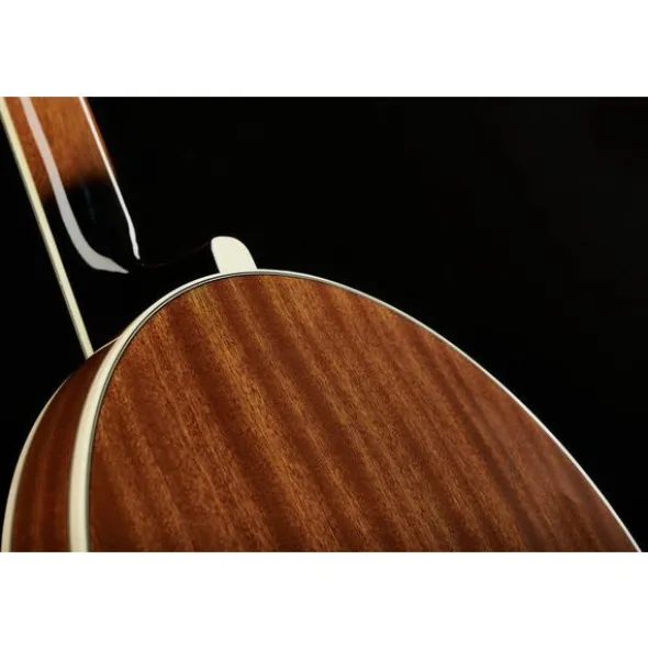 Ibanez B200