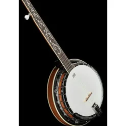 Ibanez B200