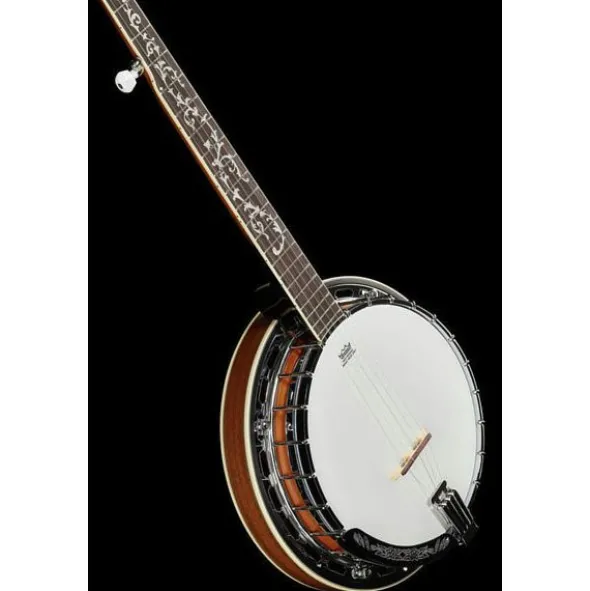 Ibanez B200