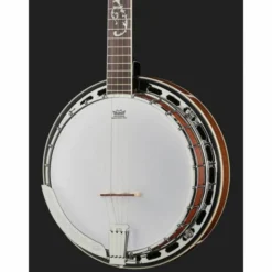 Ibanez B200