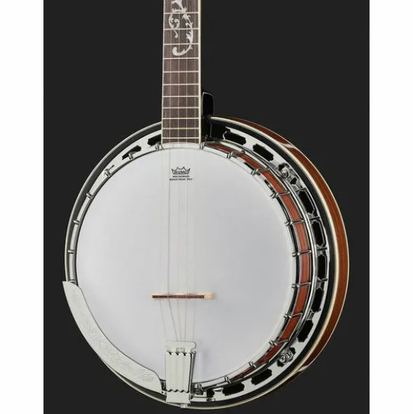 Ibanez B200