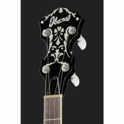 Ibanez B200
