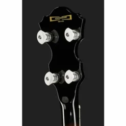 Ibanez B200