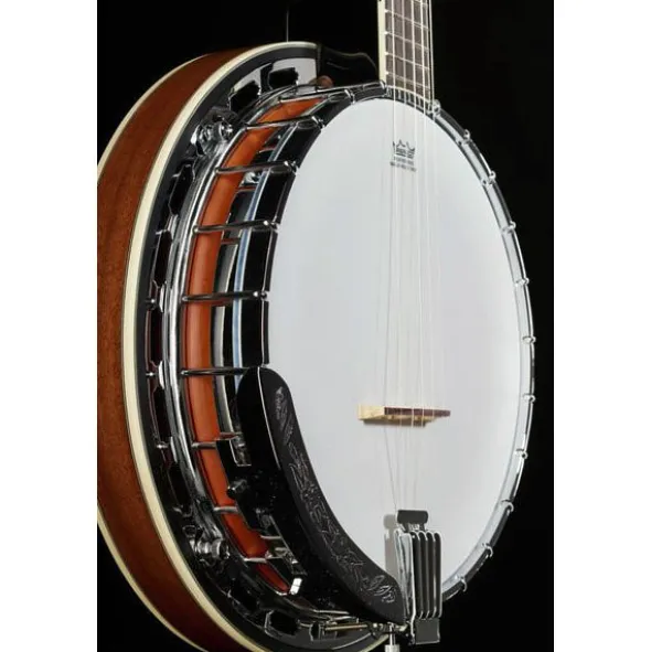 Ibanez B200