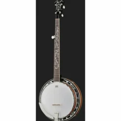 Ibanez B200