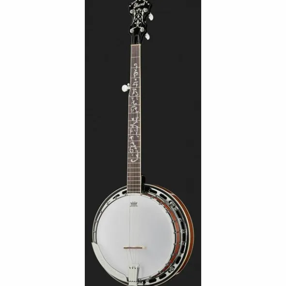 Ibanez B200