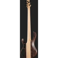 Ibanez BTB605-TGF