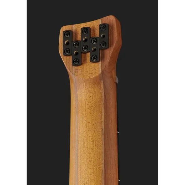 Ibanez EHB1005F-AOM
