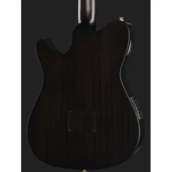 Ibanez FRH20FMN-DGL
