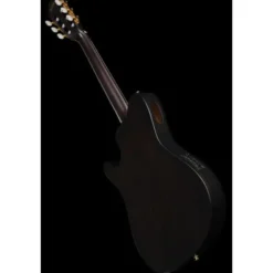 Ibanez FRH20FMN-DGL