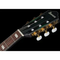 Ibanez FRH20FMN-DGL
