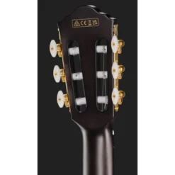 Ibanez FRH20FMN-DGL