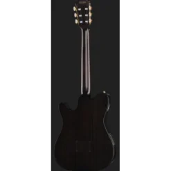 Ibanez FRH20FMN-DGL