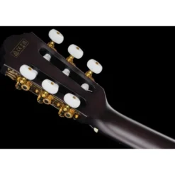 Ibanez FRH20FMN-DGL
