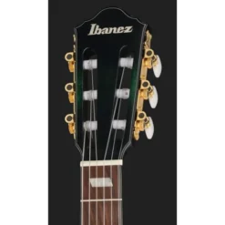 Ibanez FRH20FMN-DGL
