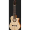 Ibanez GA3008CE-NT