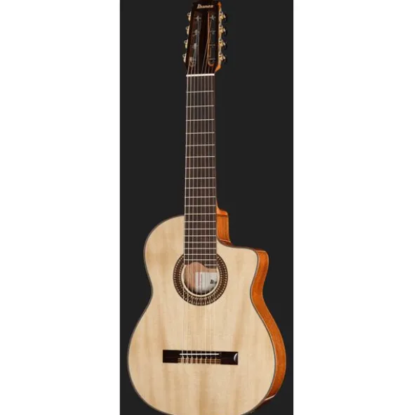 Ibanez GA3008CE-NT
