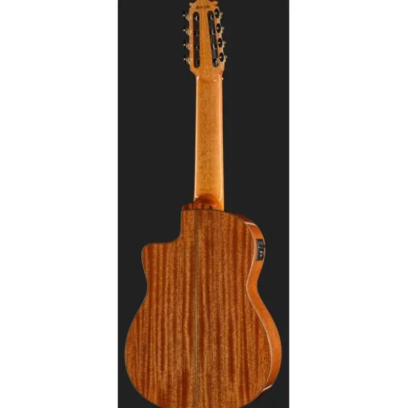 Ibanez GA3008CE-NT